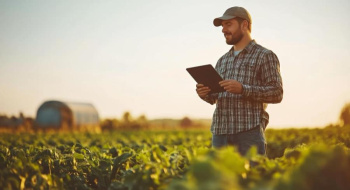 Как цифровые решения в агробизнесе превращаются в прибыль